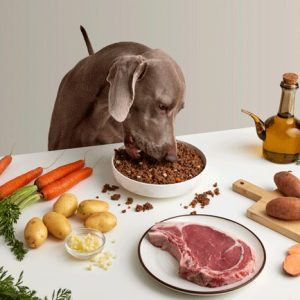 Comida natural para perros sabor buey con ingredientes frescos y sin aditivos