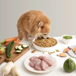 Dieta de pavo natural para perros con ingredientes frescos y saludables