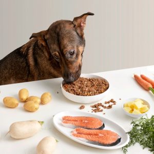 Comida natural para perros con salmón y verduras, rica en omega 3