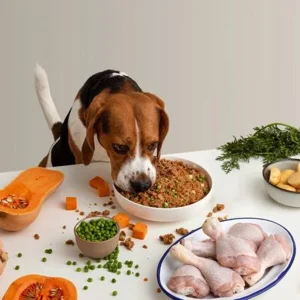 Dieta natural de pollo para perros
